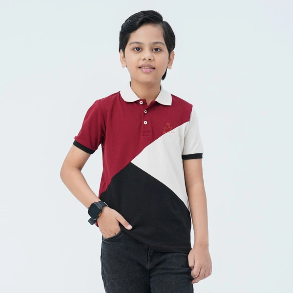 Boy's Multicolor Cotton Polo