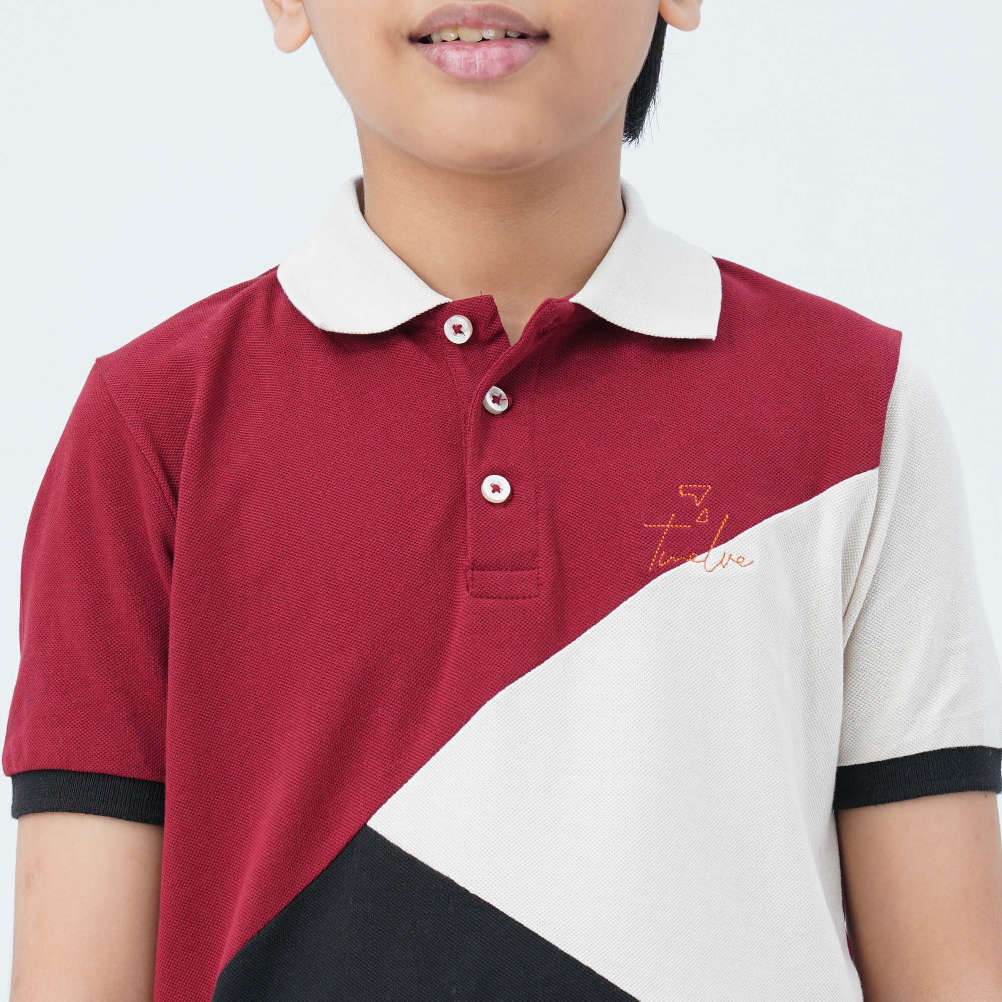 Boy's Multicolor Cotton Polo - 2